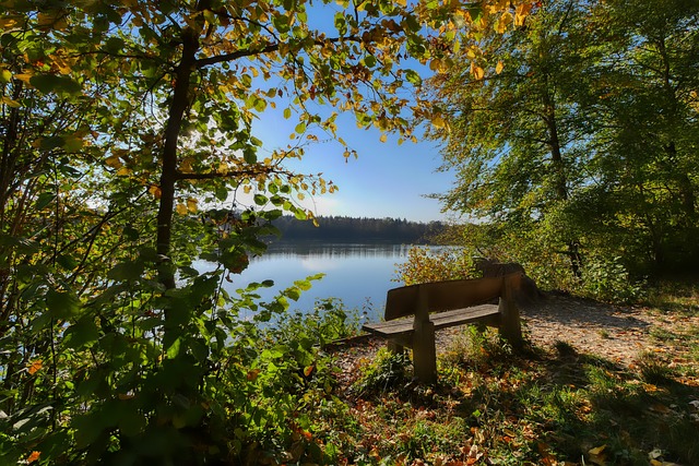 威少11月场均21+9+8，单月打出180俱乐部水准