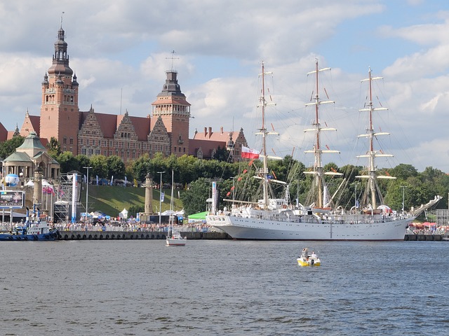 场形成